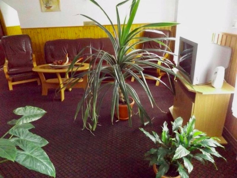 Tulipán Panzió (Tulipan Panzio)の写真