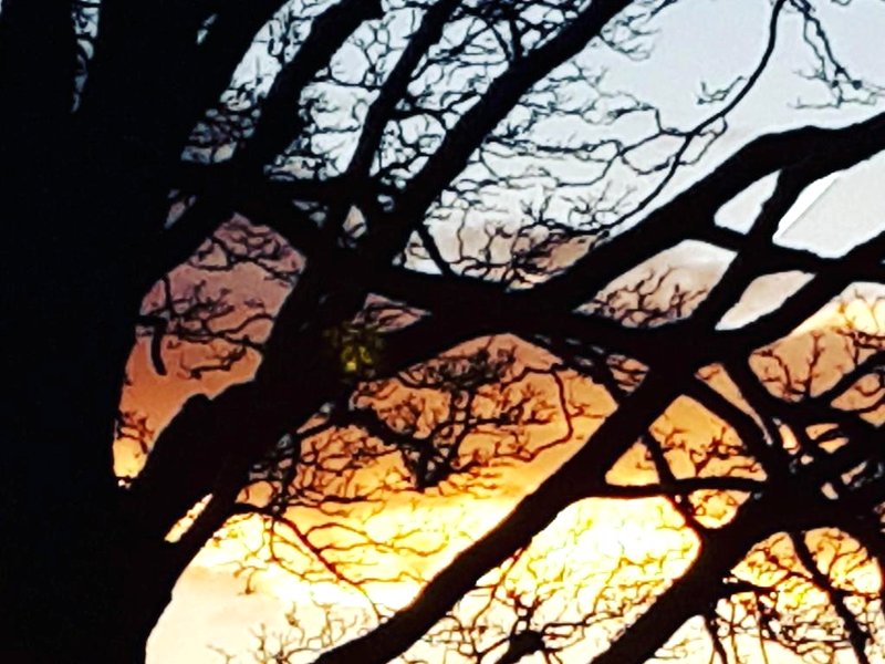 Rigg House B&Bの写真