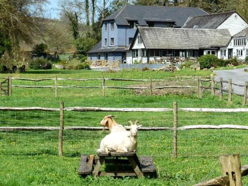 Bench Tor Apartmentの写真