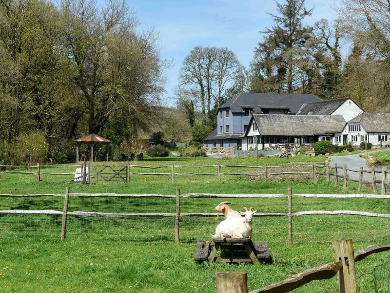 Bench Tor Apartmentの写真