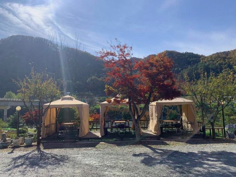 Yeongwol Gangbit Pensionの写真