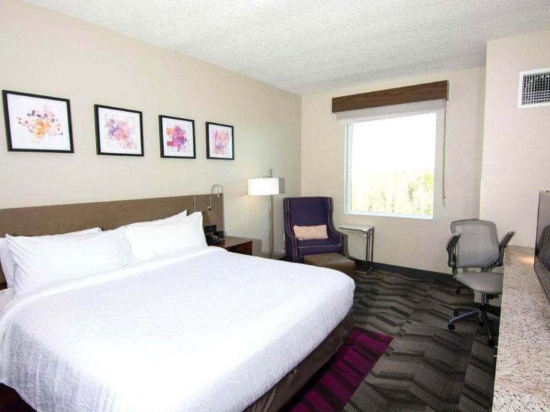 ヒルトン ガーデン イン タンパ サンコースト パークウェイ (Hilton Garden Inn Tampa Suncoast Parkway)の写真