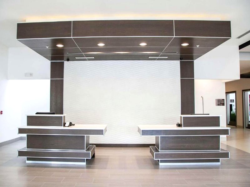 ヒルトン ガーデン イン タンパ サンコースト パークウェイ (Hilton Garden Inn Tampa Suncoast Parkway)の写真