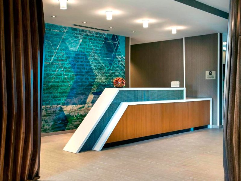 SpringHill Suites by Marriott Tampa Suncoast Parkwayの写真