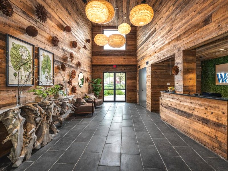 The Watershedの写真