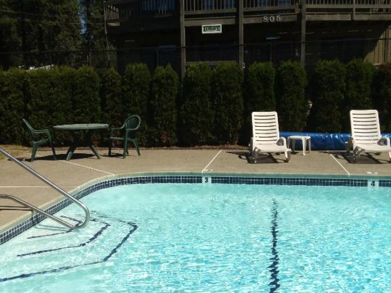 Stewart Lodgeの写真