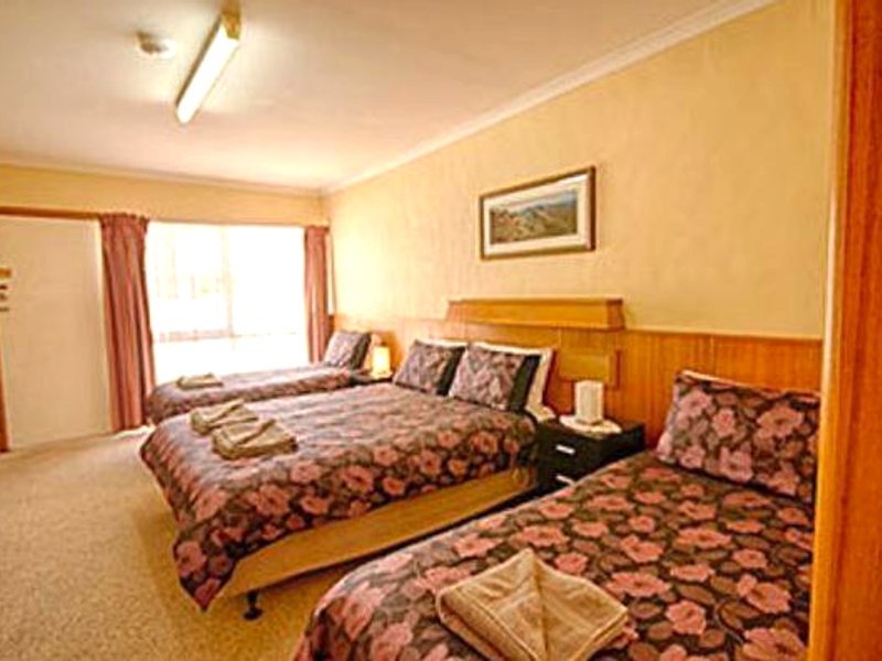 Darlot Motor Innの写真