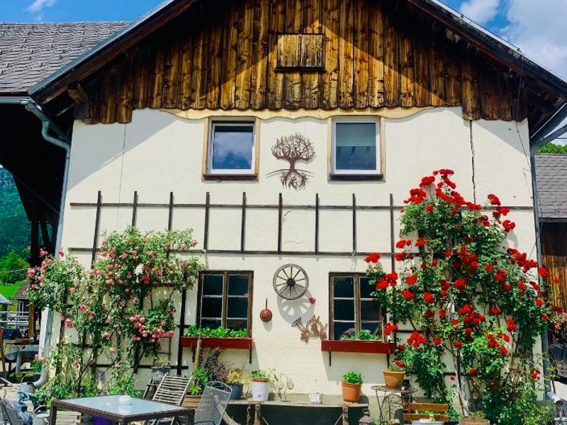 Wengerwirt zur Laubeの写真