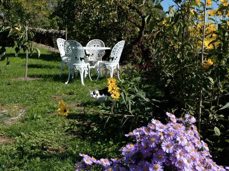 LES HAUTS DU CAUSSEの写真