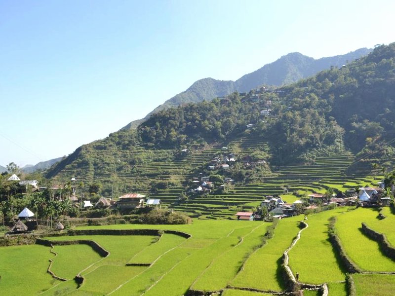 バタド ビュー イン アンド レストラン (Batad View Inn and Restaurant)の写真