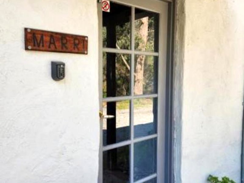 Lavender Patchの写真