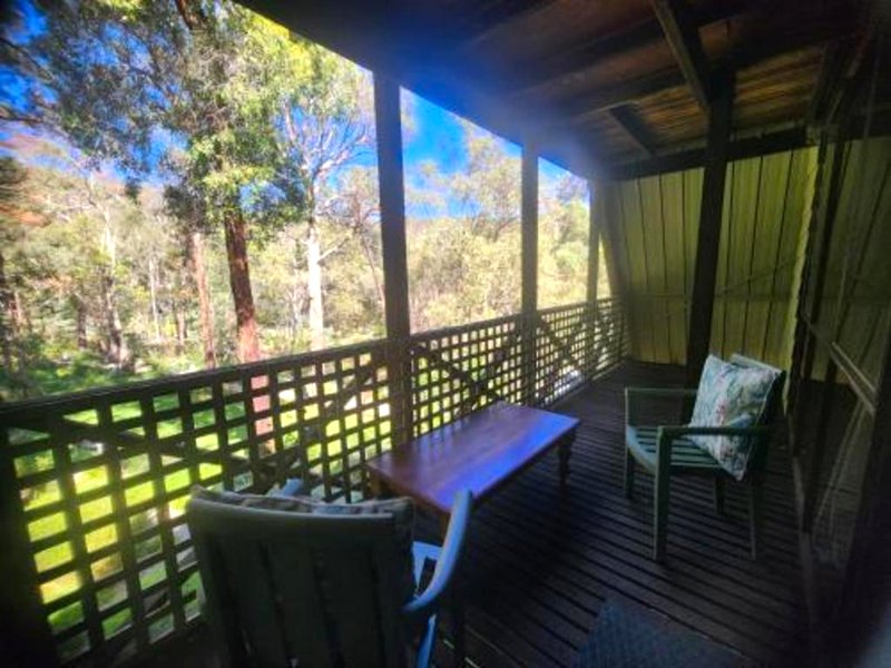 Lavender Patchの写真