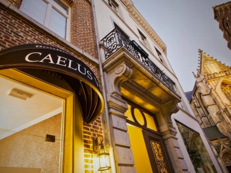 Boutique Hotel Caelus VIIの写真