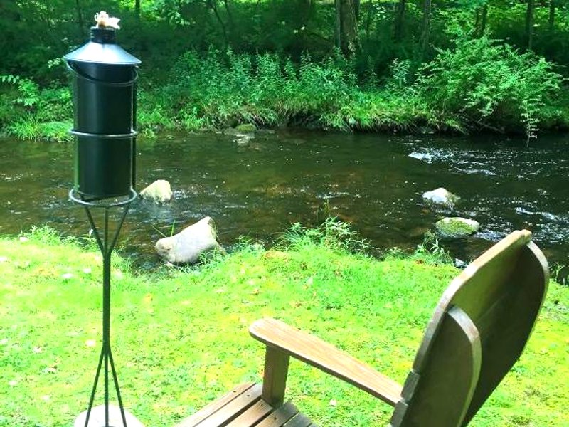 ザ フロッグタウン イン (The Frogtown Inn)の写真