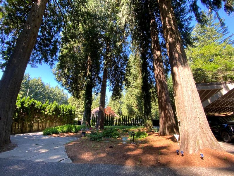 Cora’s Rivergarden Retreat の写真