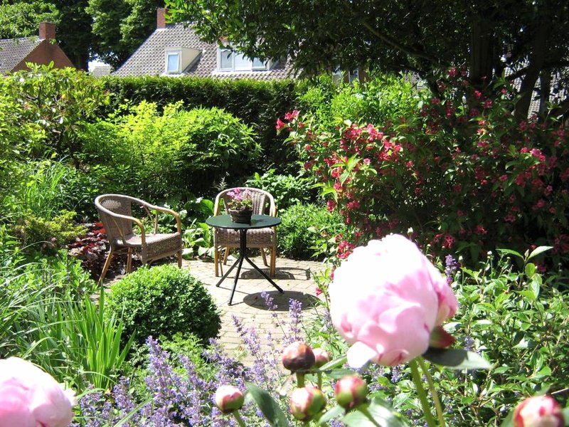 B&B De Esdoornの写真