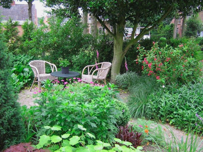 B&B De Esdoornの写真