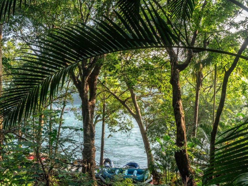 White Water Resort の写真