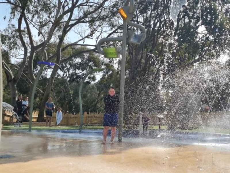 Bimbi Park - Camping Under Koalasの写真