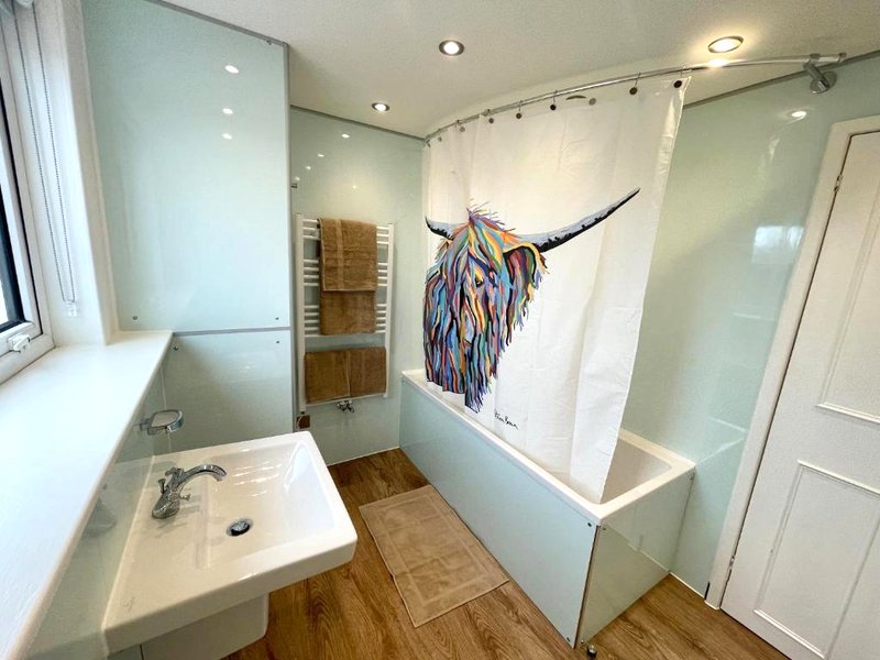 Shepherd Moonの写真