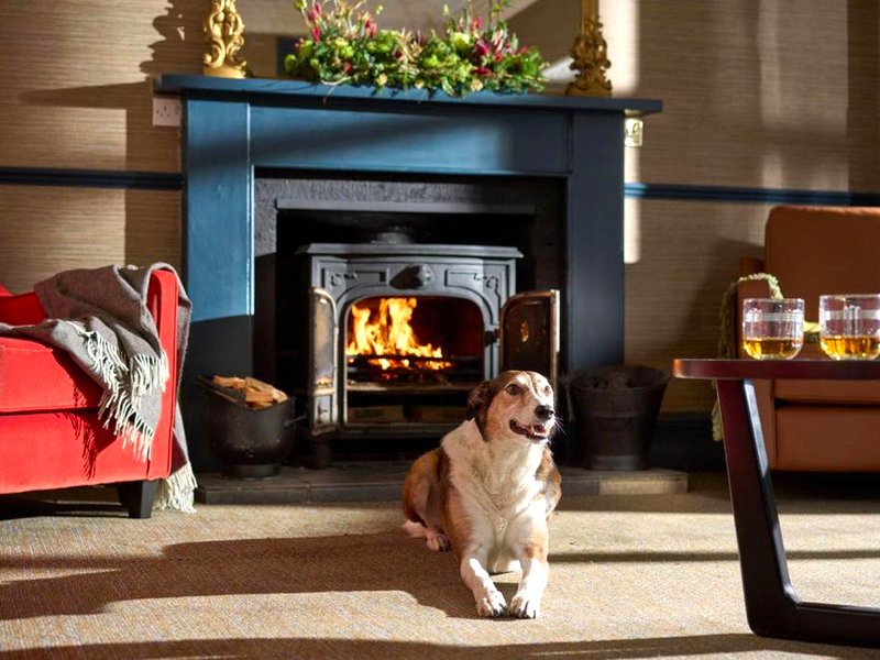 The Tongue Hotelの写真