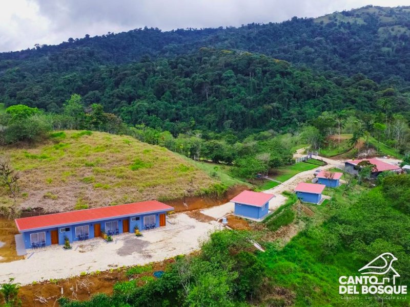 Canto Del Bosqueの写真