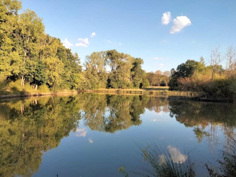 Hôtel Restaurant TOQUE et PASSION (Hotel Restaurant TOQUE et PASSION)の写真