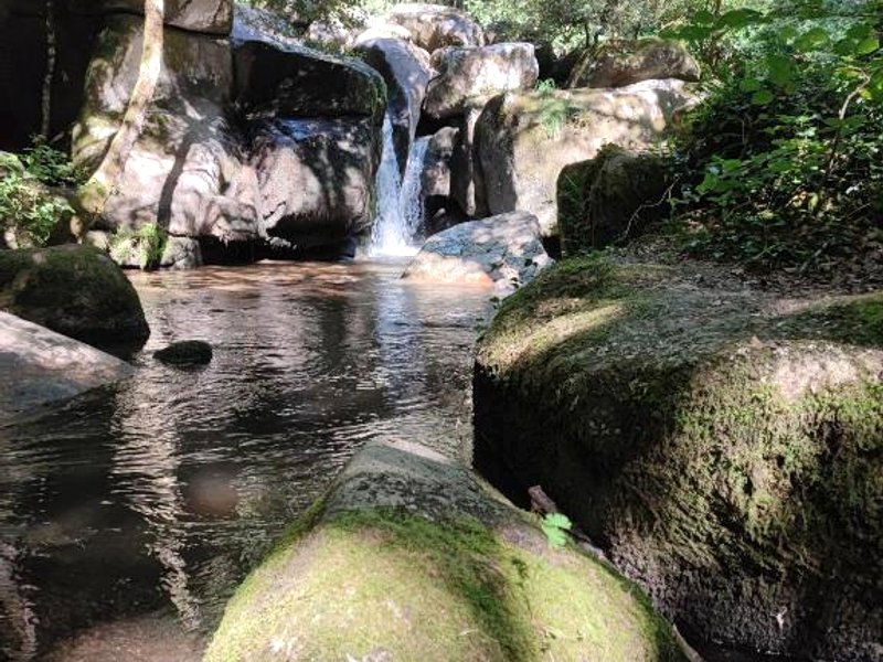 tiny house Cantalの写真