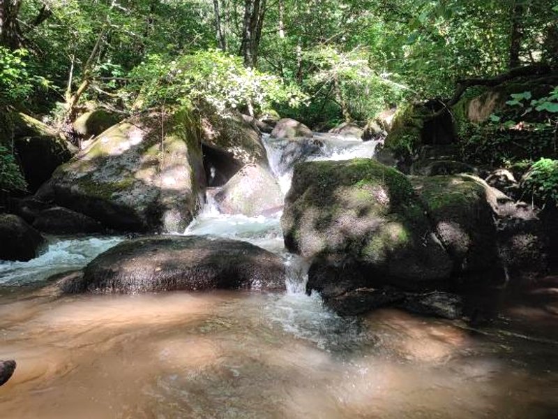 tiny house Cantalの写真