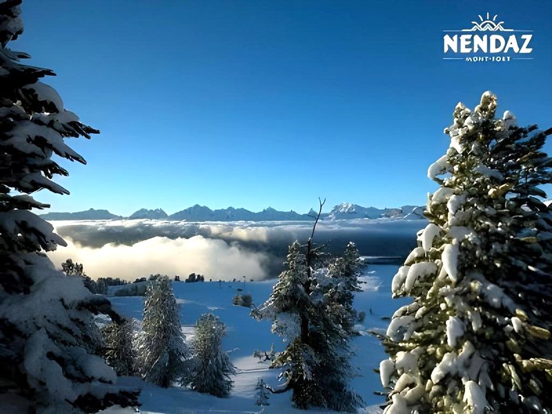 Hotel Edelweissの写真