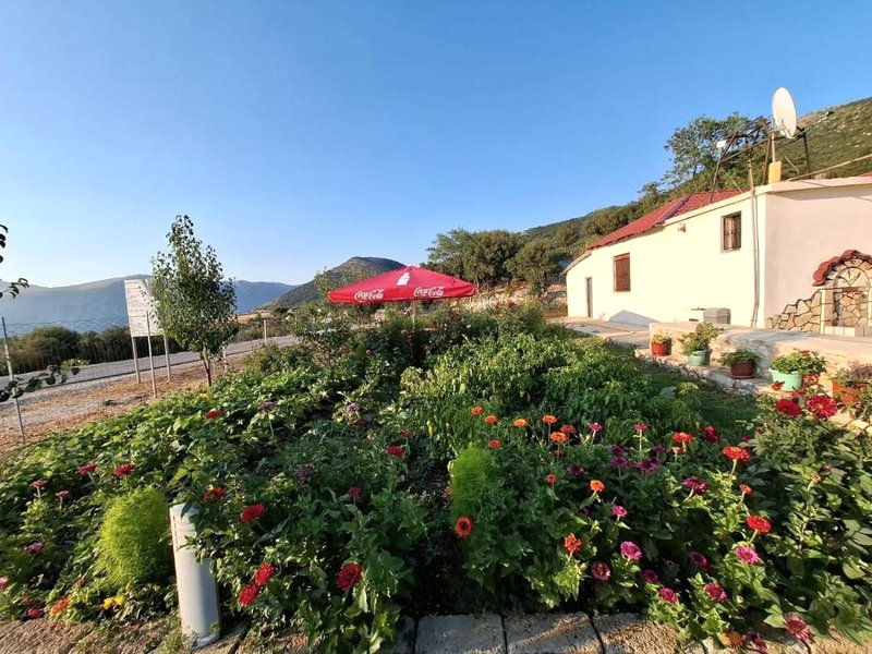 Guest House Vatraの写真