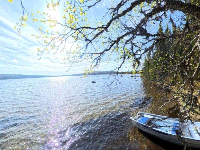 Medstugans Pilgrimsboendeの写真