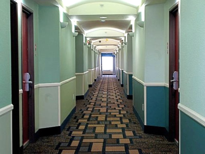 スーパー 8 バイ ウィンダム アービング/DFW エアポート/ノース (Super 8 by Wyndham Irving/DFW Apt/North)の写真