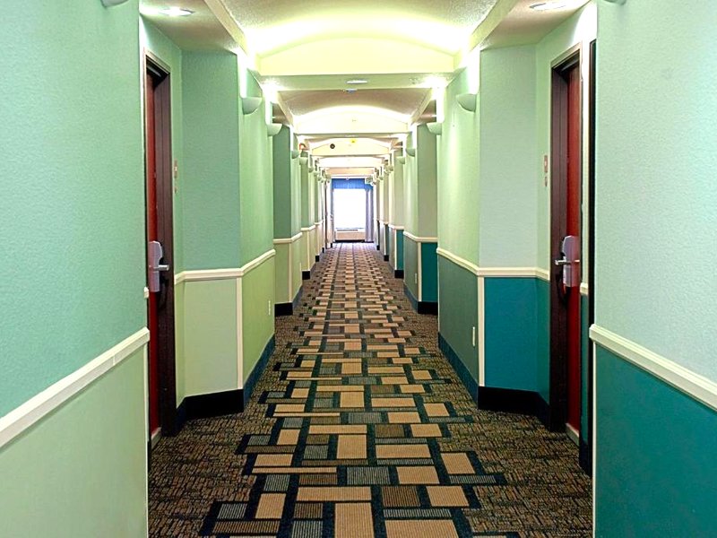 スーパー 8 バイ ウィンダム アービング/DFW エアポート/ノース (Super 8 by Wyndham Irving/DFW Apt/North)の写真