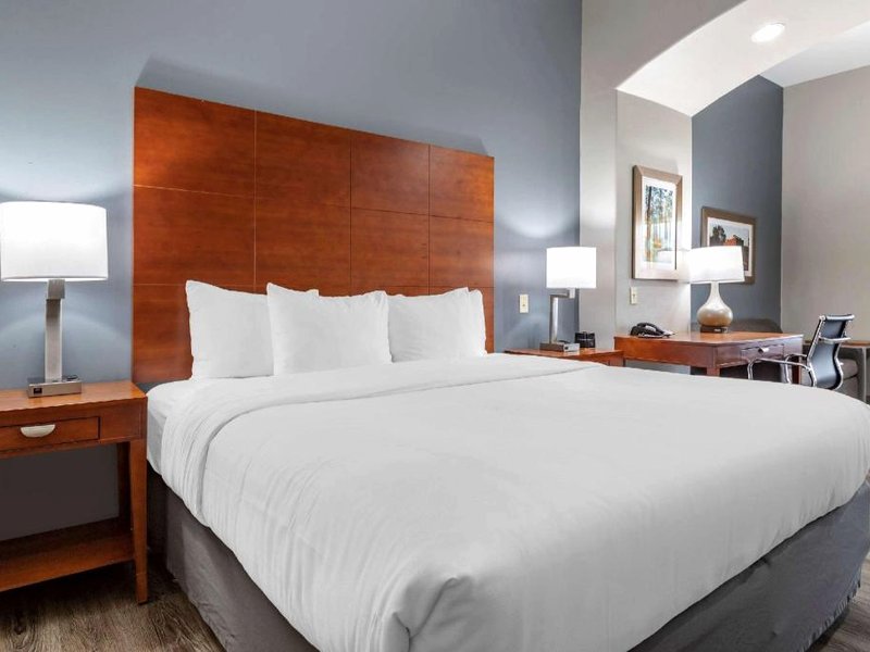 Comfort Inn & Suitesの写真