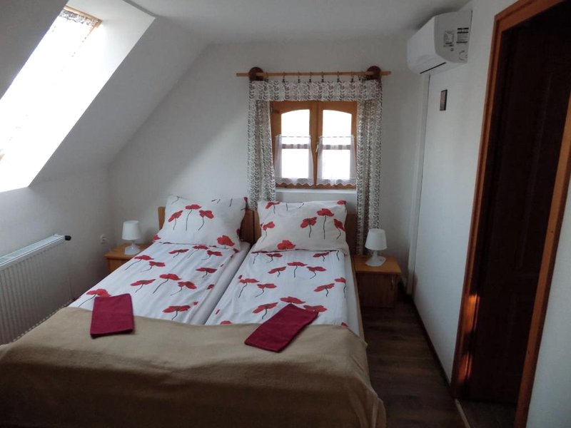 Katica Vendeghazの写真