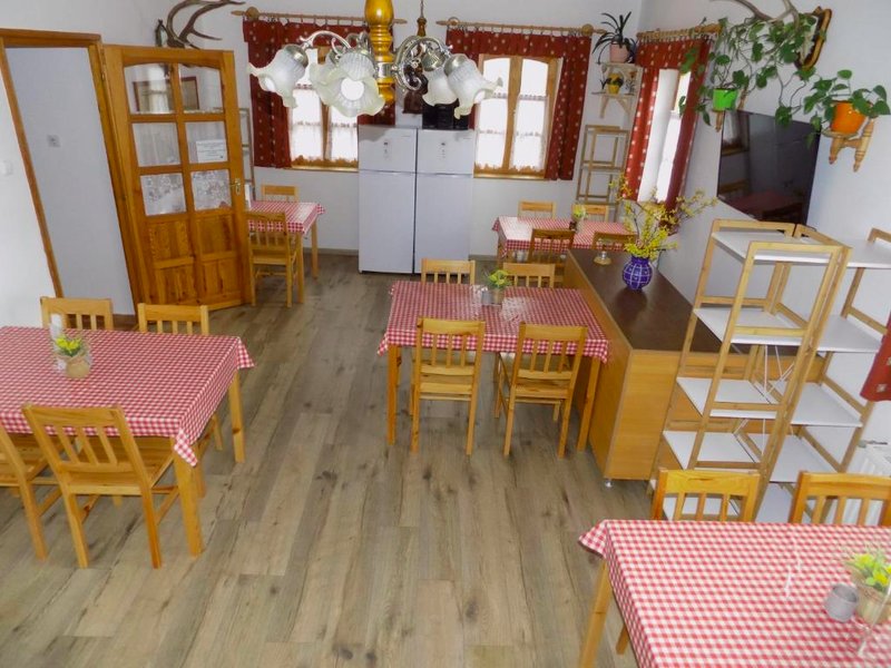 Katica Vendeghazの写真