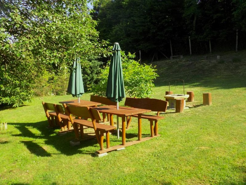 Katica Vendeghazの写真