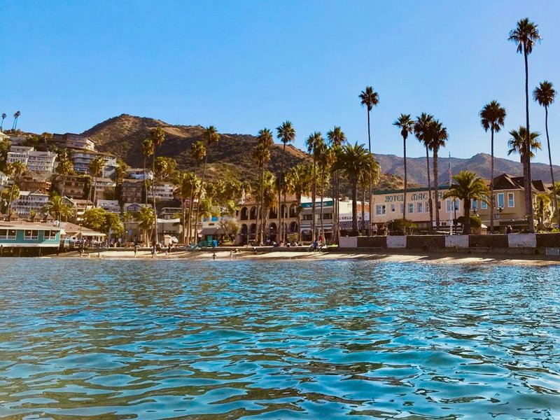 The Edgewaterの写真