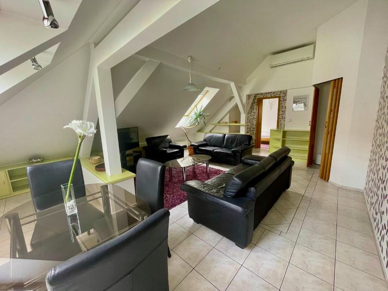 Hotel Vacek Pod Veziの写真