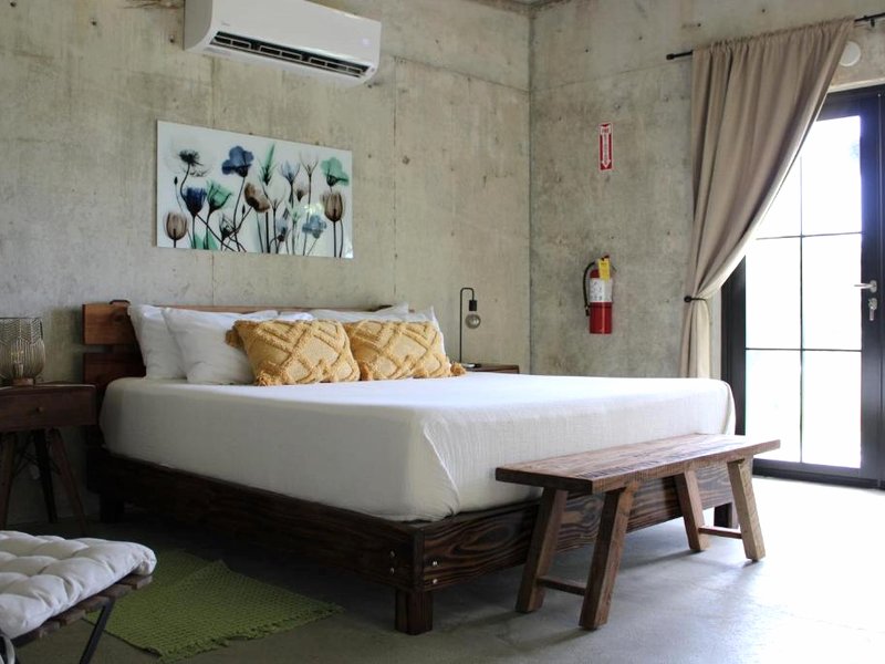 The Serene House Bed & Breakfastの写真