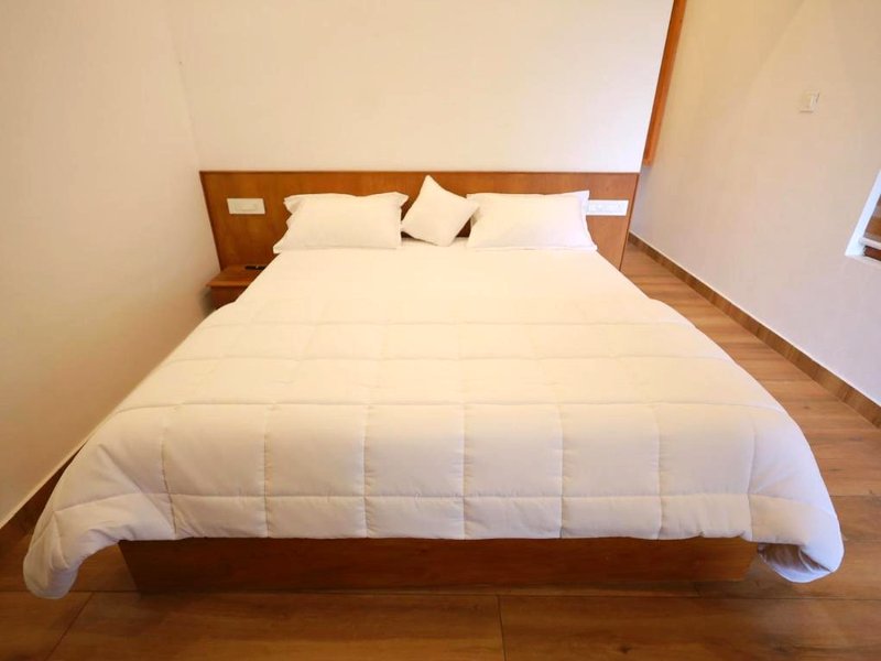 Enchanted Woodsの写真