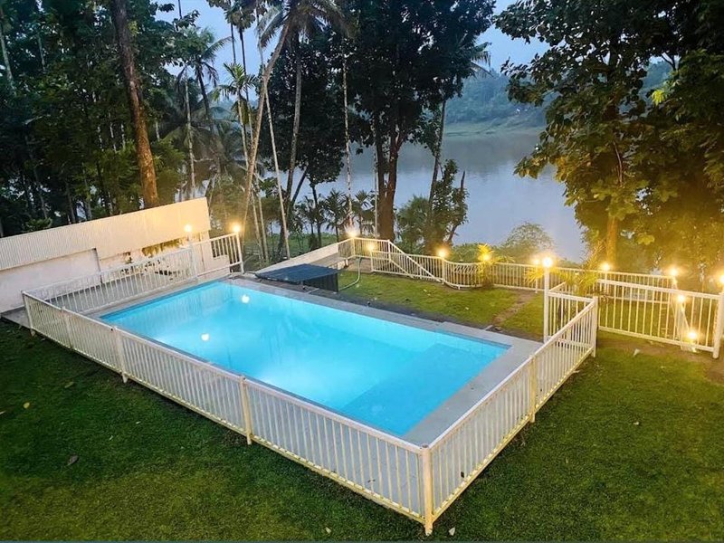 Enchanted Woodsの写真