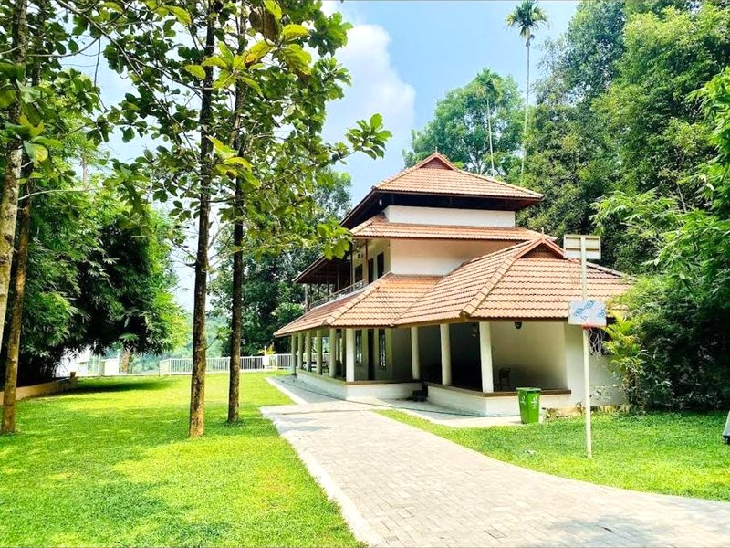 Enchanted Woodsの写真