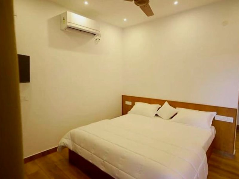 Enchanted Woodsの写真