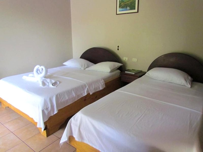 ホテル ビスタ アル トルトゥゲーロ (Hotel Vista al Tortuguero)の写真