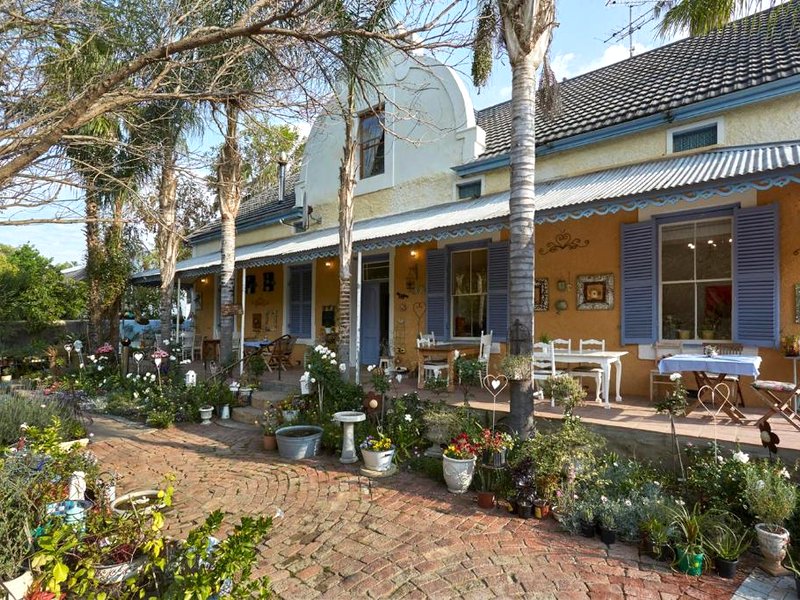 イエロー アロエ ゲスト ハウス (Yellow Aloe Guest House )の写真