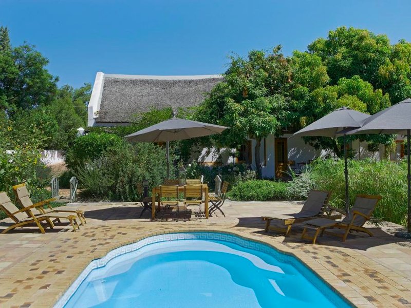 イエロー アロエ ゲスト ハウス (Yellow Aloe Guest House )の写真