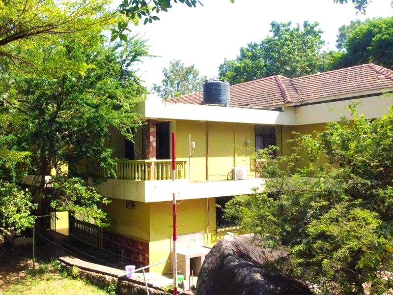 Olivia Guesthouse の写真