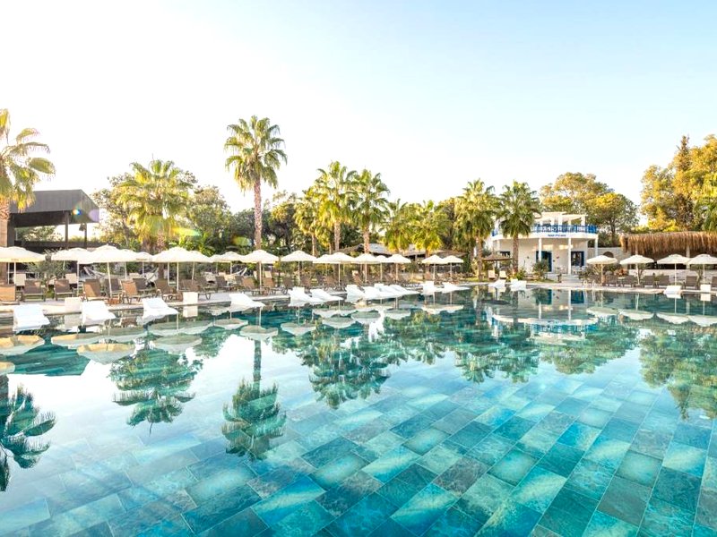 Berry Blue Hotelsの写真